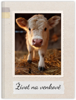 Fotokniha s pevnou väzbou - originálny darček! - Everyday Neutrals