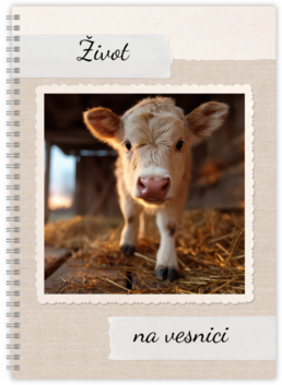 Vychytaná fotokniha - Krúžková - Everyday Neutrals