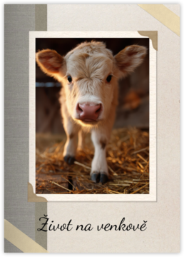 Fotozošit z vlastných fotiek| Tlačiarik.sk - Everyday Neutrals