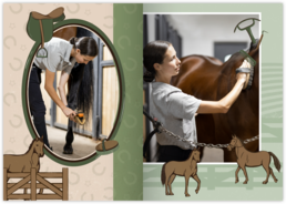 Fotozošit z vlastných fotiek| Tlačiarik.sk - Kone