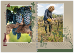 Fotolibro Perfetto: Rilegatura a Spirale - Viticoltore