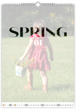 Fotokalendář exklusiv na výšku - Season