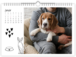 Fotokalendár nástenný mesačný na šírku - Dog