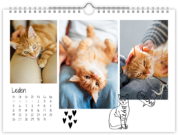 Fotokalendár nástenný mesačný na šírku - Cat 