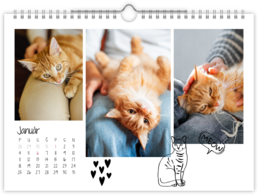Fotokalendár nástenný mesačný na šírku - Cat 