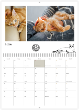 Nástenný plánovací fotokalendar - Cat