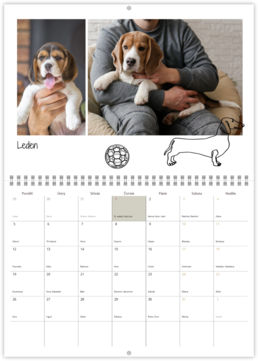 Nástenný plánovací fotokalendar - Dog 