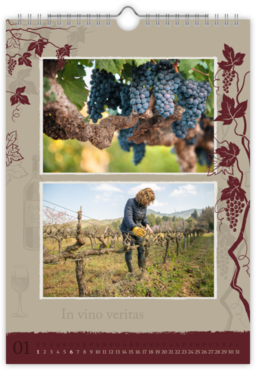 Fotokalendar nástenný mesačný na výšku z fotiek - Vinár