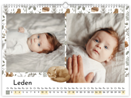 Fotokalendář exklusiv na šířku - Babies dream 