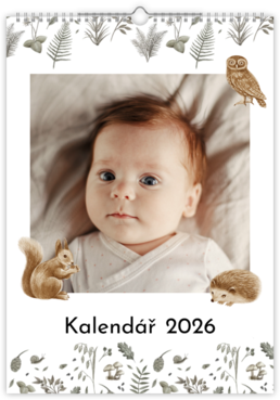 Fotokalendář exklusiv na výšku - Babies dream