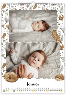Fotokalendar nástenný mesačný na výšku z fotiek - Babies dream