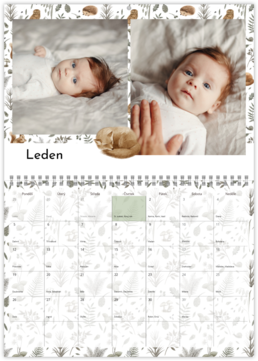 Nástenný plánovací fotokalendar - Babies dream