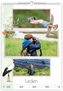 Fotokalendář exklusiv na výšku - Ptáčci