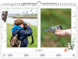 Fotokalendár nástenný mesačný na šírku - Vtáčiky