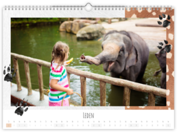 Fotokalendář exklusiv na šířku - Zoo