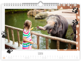 Fotokalendár nástenný mesačný na šírku - Zoo