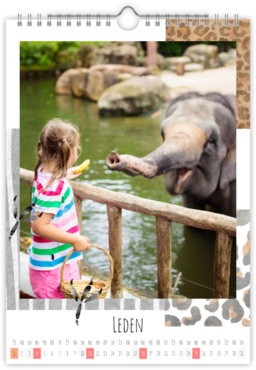 Fotokalendar nástenný mesačný na výšku z fotiek - Zoo