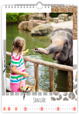 Fotokalendar nástenný mesačný na výšku z fotiek - Zoo