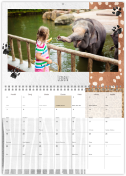 Nástenný plánovací fotokalendar - Zoo 
