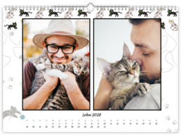 Fotokalendář exklusiv na šířku - Kočky