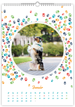 Fotokalendar exkluzív na výšku - Labky